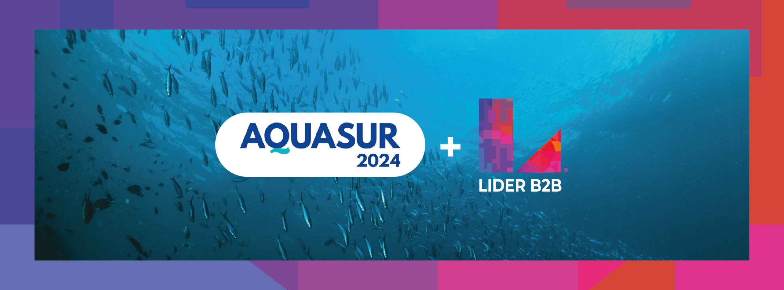 LiderB2B_Post_Marzo 2024_Aquasur